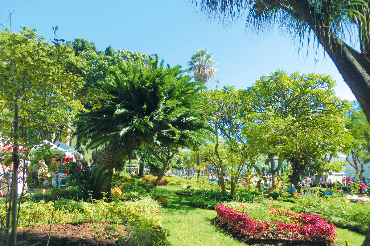 Blumeninsel Madeira